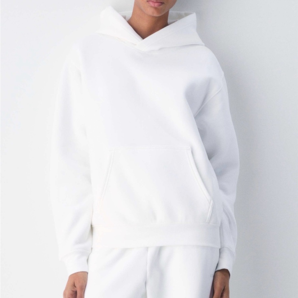 Aritzia TNA Extra Fleece Boyfriend Fit Hoodie